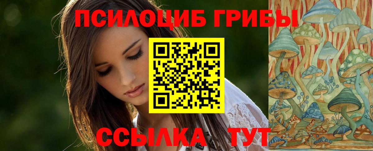 Галлюциногенные грибы GOLDEN TEACHER  Псилоцибиновые грибы MAGIC MUSHROOMS  Вход с VPN  купить наркотик  Муравленко 